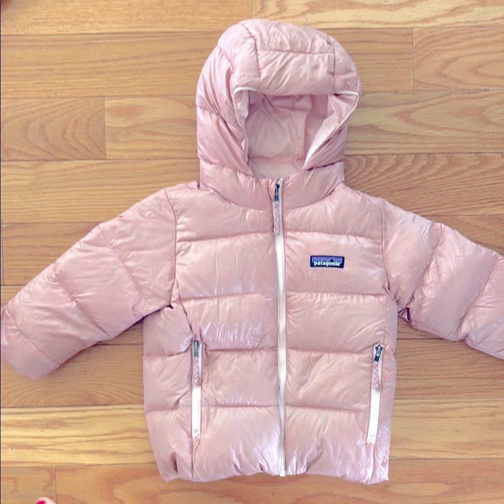 Patagonia Baby Hi-Loft Down Sweater Hoody